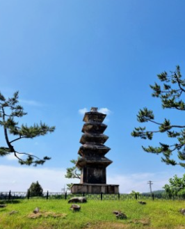 의성 산수유 축제