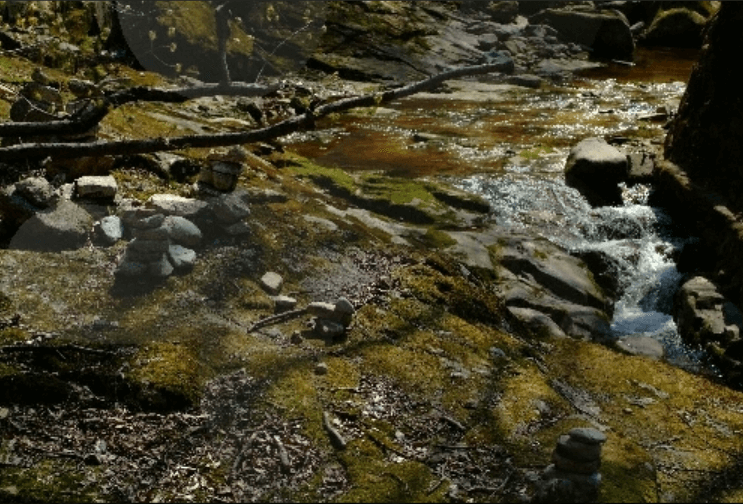 공주시 동학사계곡