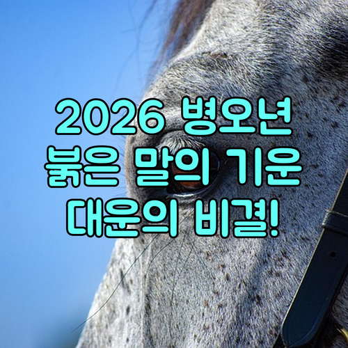 붉은 말의 해 병오년 의미와 신년 인..