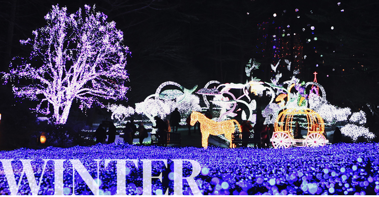 아침고요수목원의 사계절