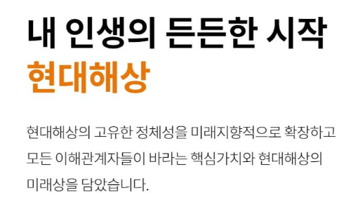 현대해상 운전자보험 이미지