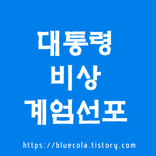 대통령의 비상계엄 선포