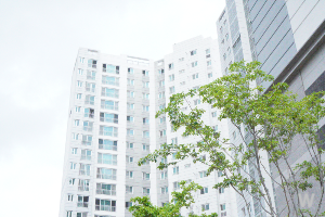 부동산 실거래가 조회 아파트1