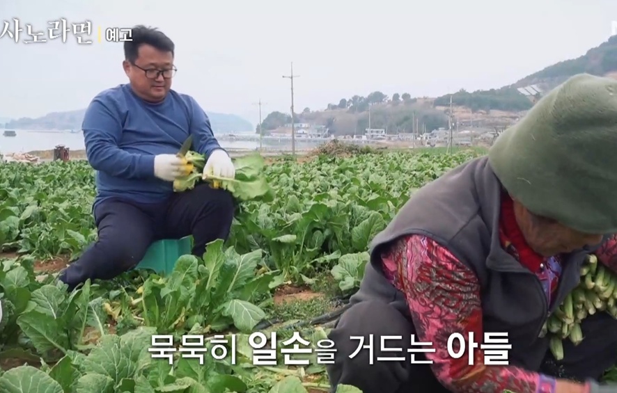 사노라면-오뚝이-춘화-엄마-금요일의아들