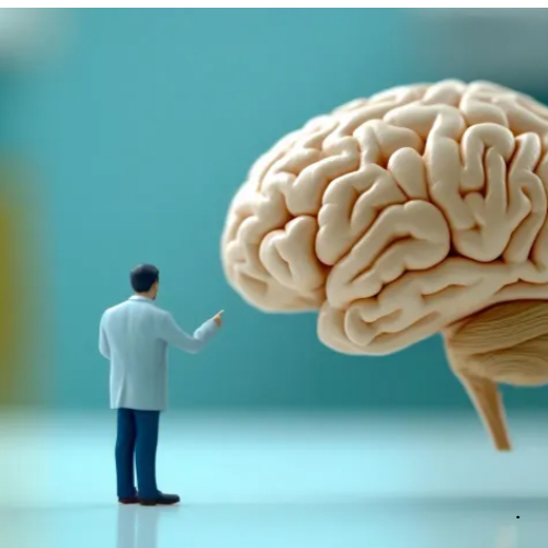 포스파티딜 세린 효능