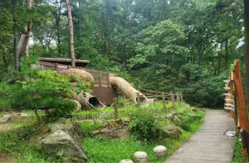 용인 자연휴양림_5