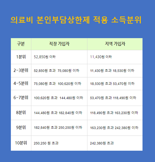 2024년도-의료비-본인부담-상안제-소득분위