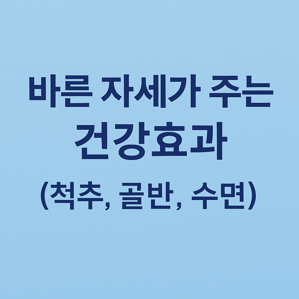 바른 자세가 주는 건강효과 (척추, 골반, 수면)