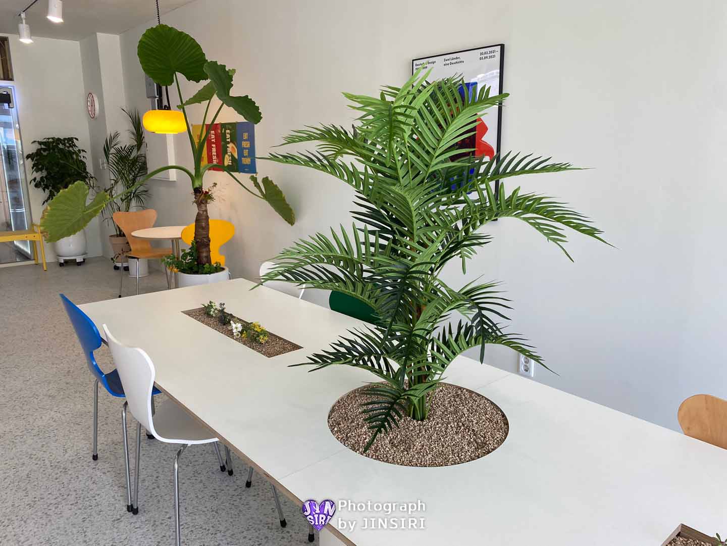 김포시 풍무동 샐러드카페 데이트 맛집