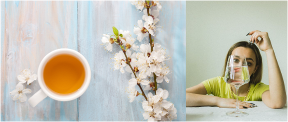 차나 무가당 음료수