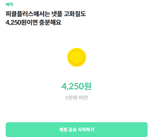 피클플러스 사진