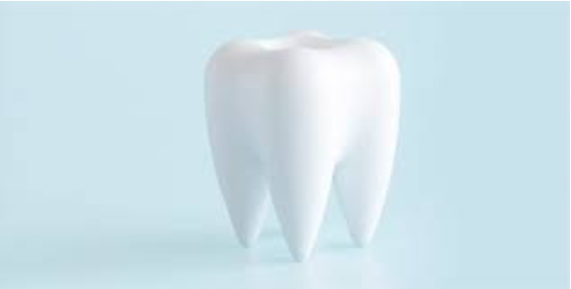 치아보험의 숨겨진 조건