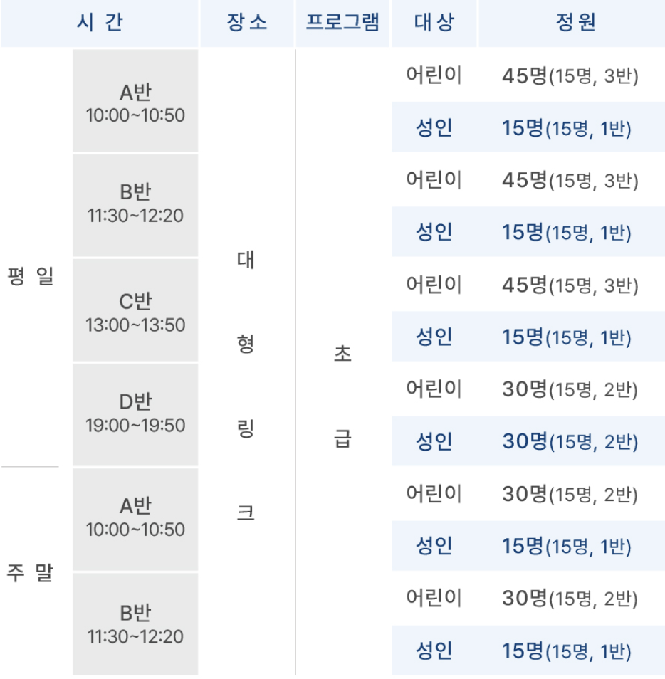 서울광장 스케이트장 그룹강습 시간