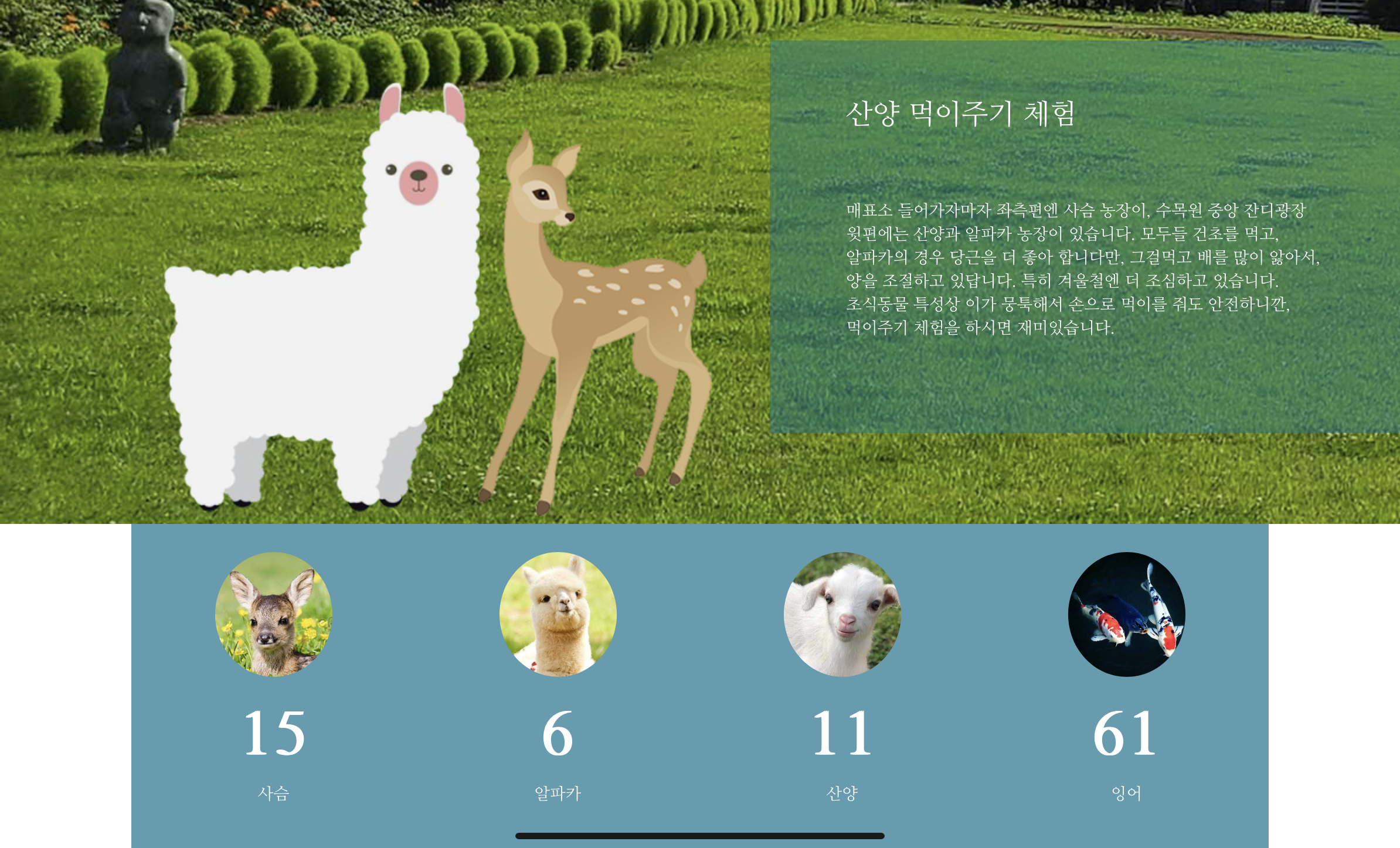 수선화축제, 아산 피나클랜드 수목원 튤립 축제