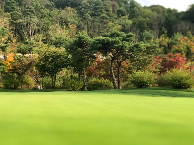 강원도 휘닉스파크 CC 골프장 소개 및 예약방법