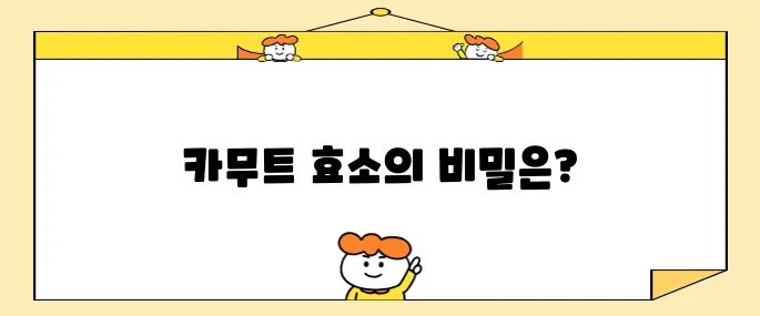 카무트 효소의 놀라운 효능과 효과