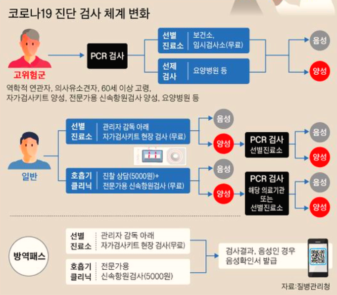 코로나 검사 진단 체계