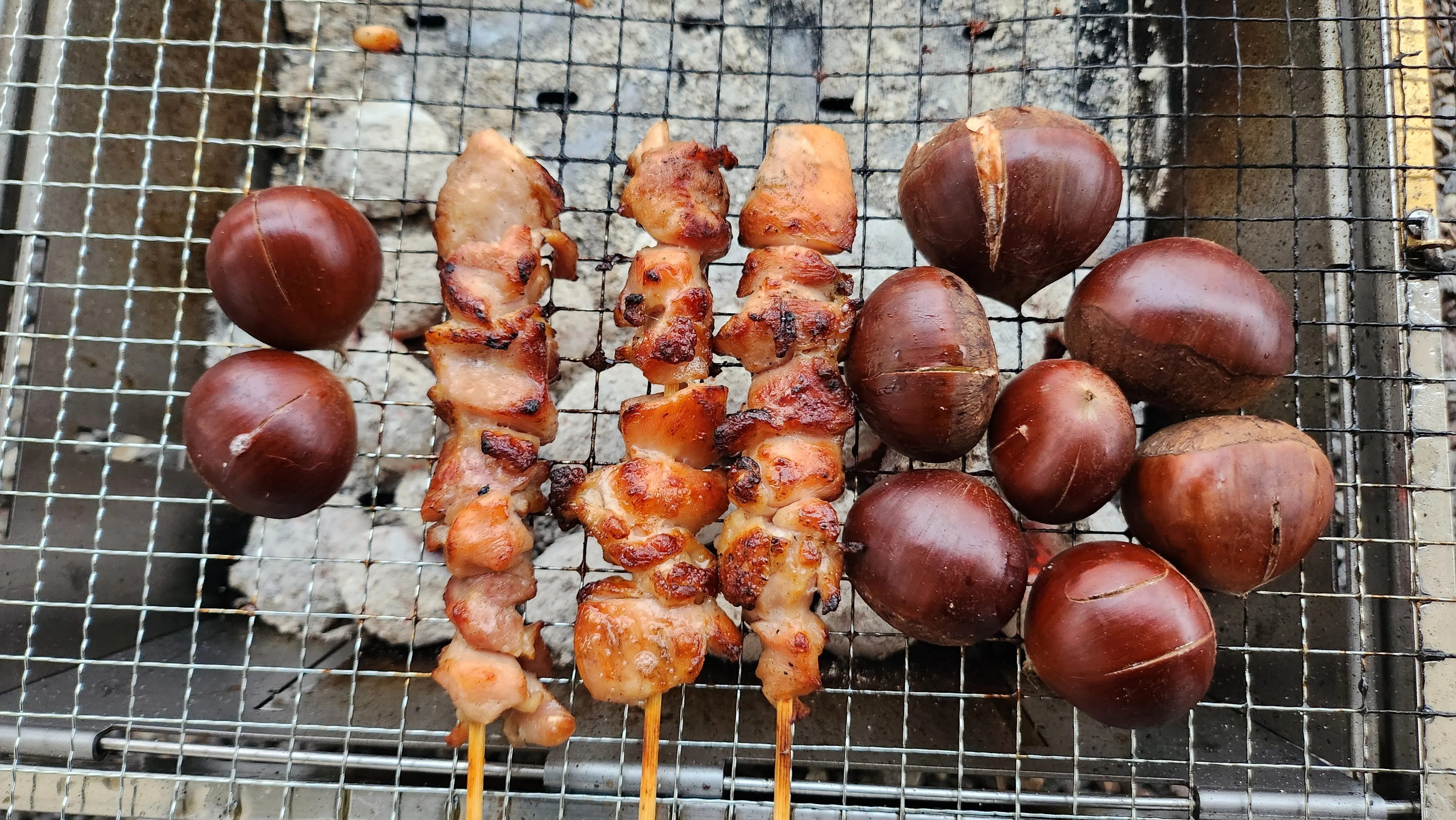 닭꼬치와 밤굽기