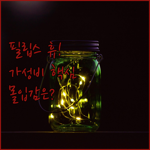 필립스 휴 vs 가성비 RGBIC T..