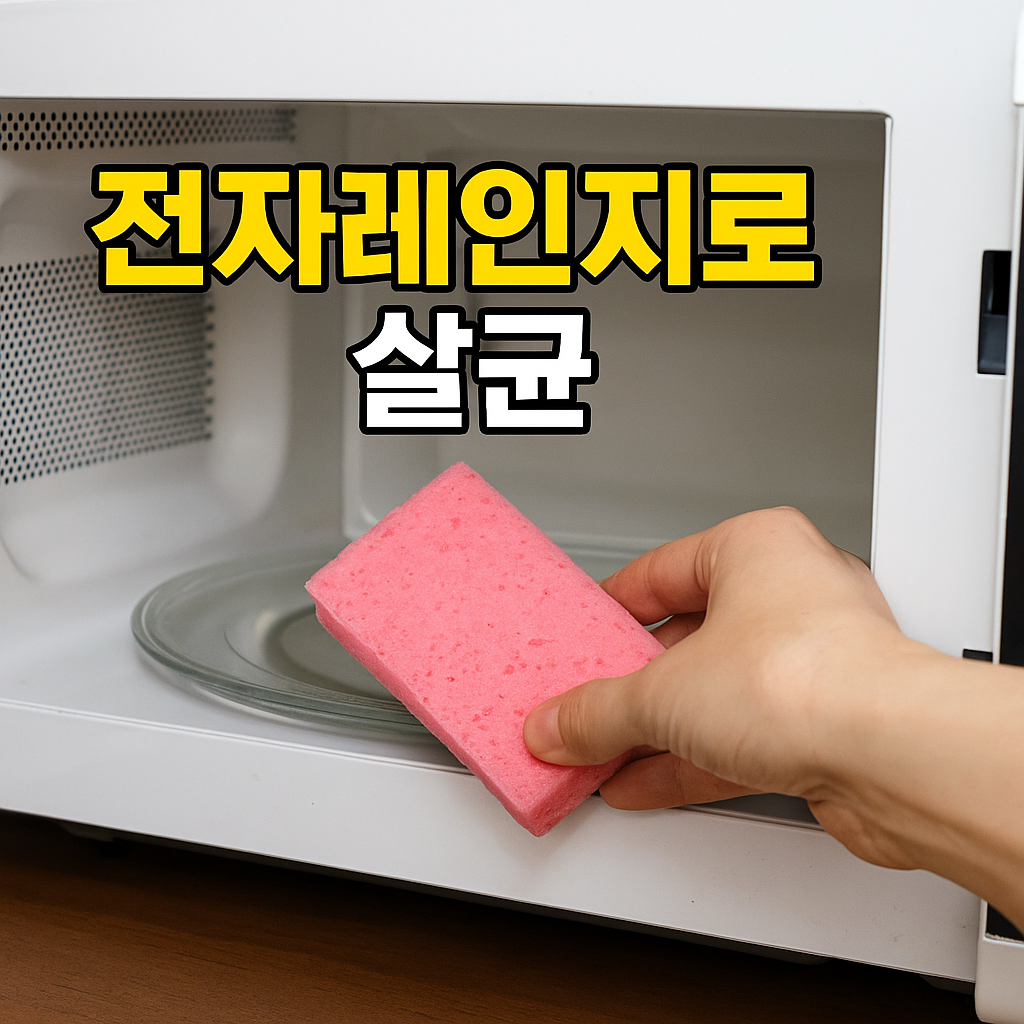 세균 걱정 끝! 주방 위생 꿀팁