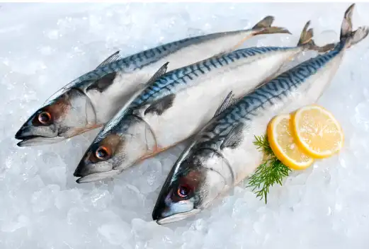 위암 초기증상, 위암에 좋은 음식 Best 10