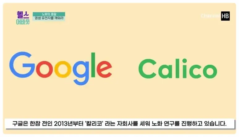 일본nmn효능