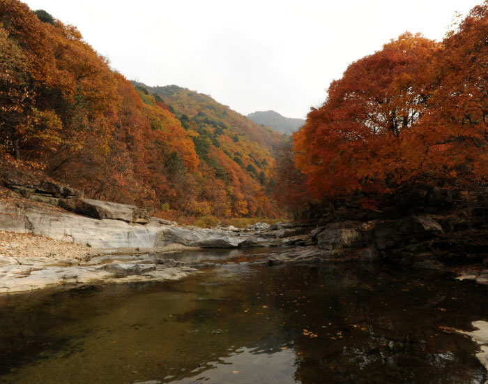 강원도 가을 단풍 여행 가이드 : 2025 홍천 수타사 단풍 절정 시기 & 추천 코스