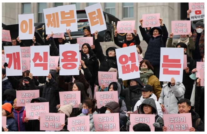 개식용종식 1년, 농장폐업과 제도전환 현실