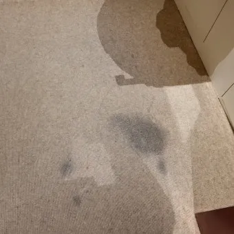 카펫 얼룩 탄산수 분무 후 흡수하는 페트병 롤러 팁_26