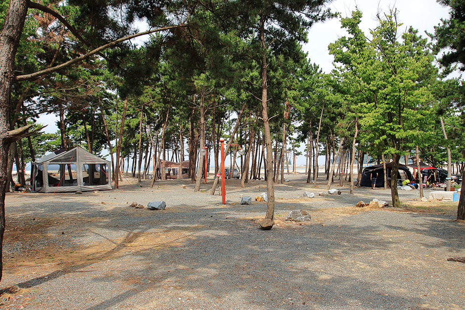 어은돌송림캠핑장