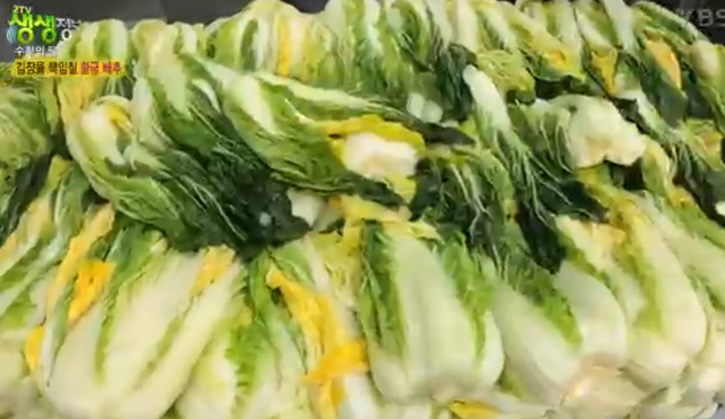 솔바위농장 해남배추