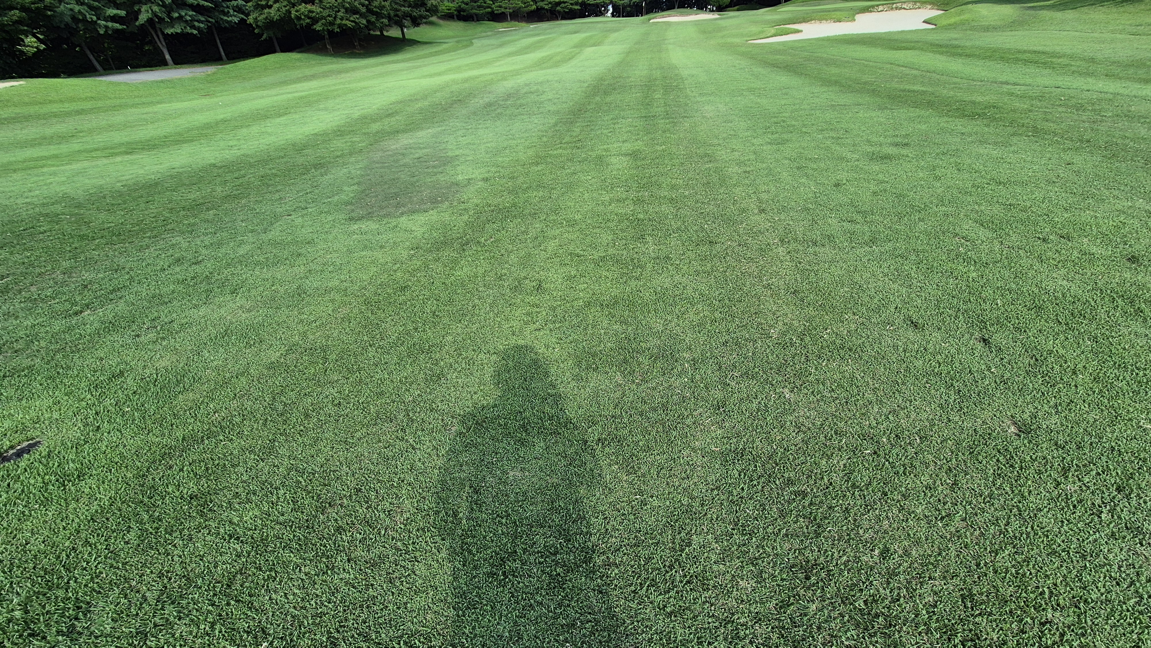 태광cc 북-서 코스 라운드 후기