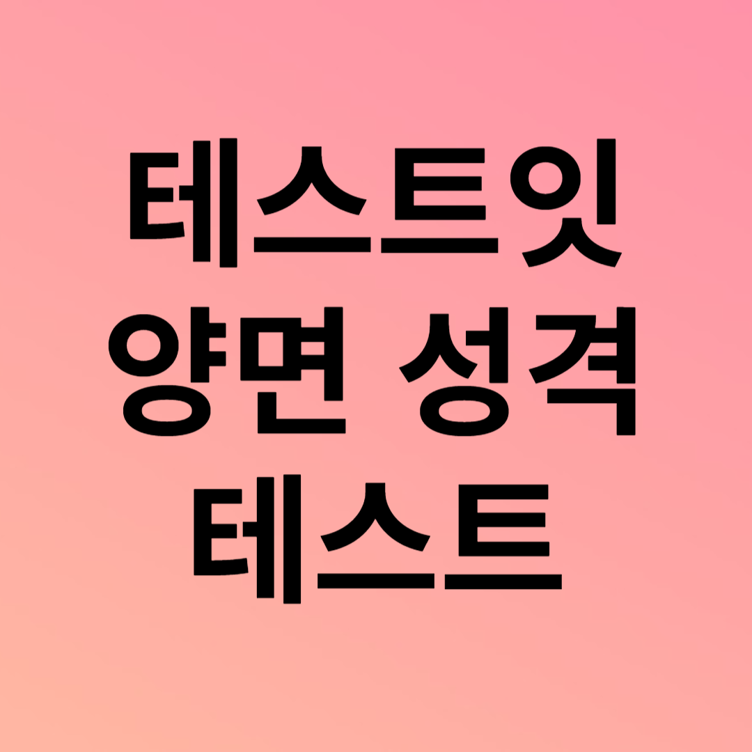테스트잇 양면 성격 테스트