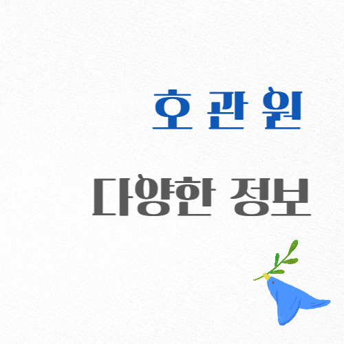 호관원에 대한 다양한 정보 섬네일 이미지입니다.