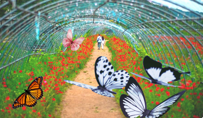 2025 괴산 빨간맛 페스티벌