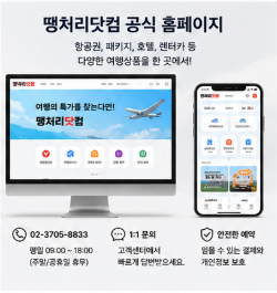 땡처리 제주 항공권 제주 여행 확인방법