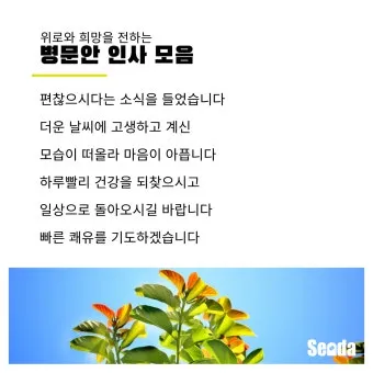 병문안 쾌유 인사 문자 예문 빠른 회복 기원 문장 모음_17