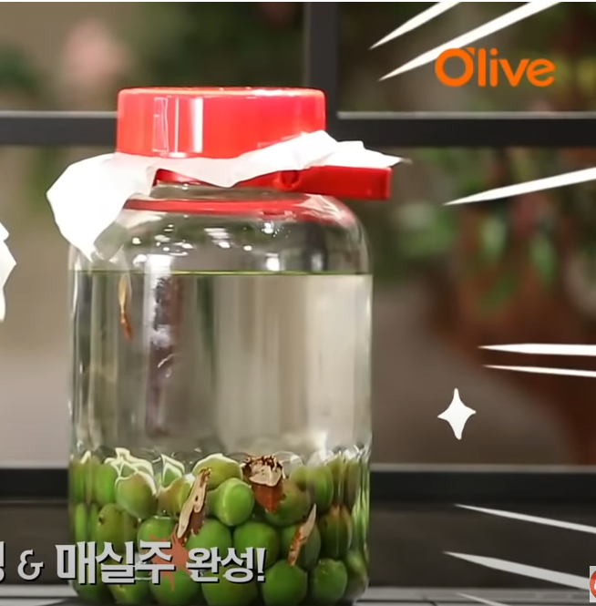 매실주 담그는법 매실주담글때 비율