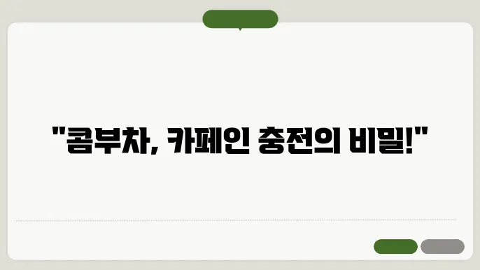 콤부차 카페인