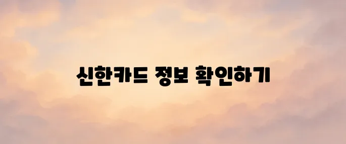 신한카드 홈페이지 바로가기