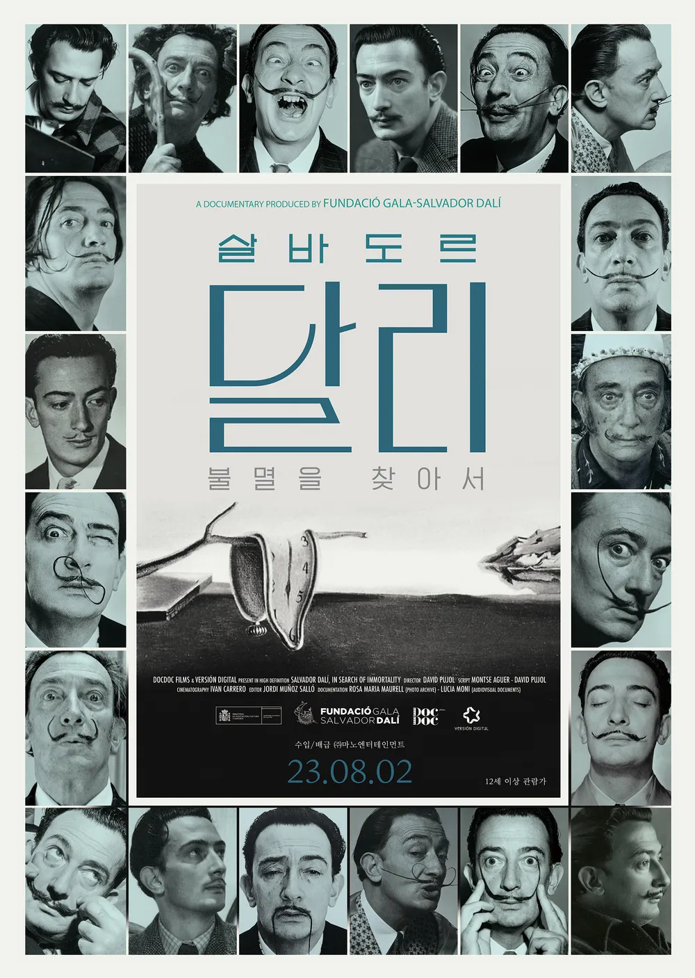 영화 살바도르달리