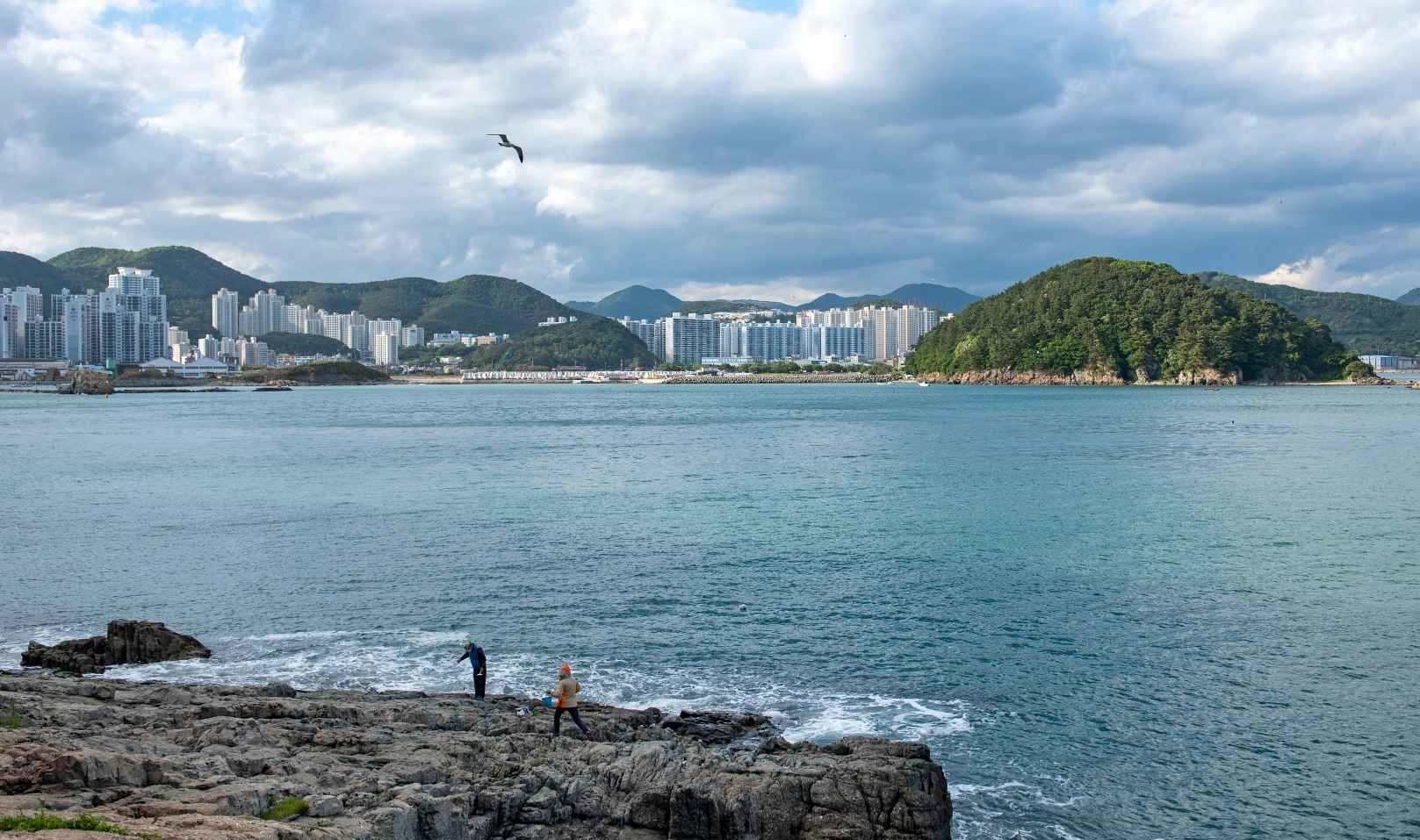 부산 몰운대 둘레길