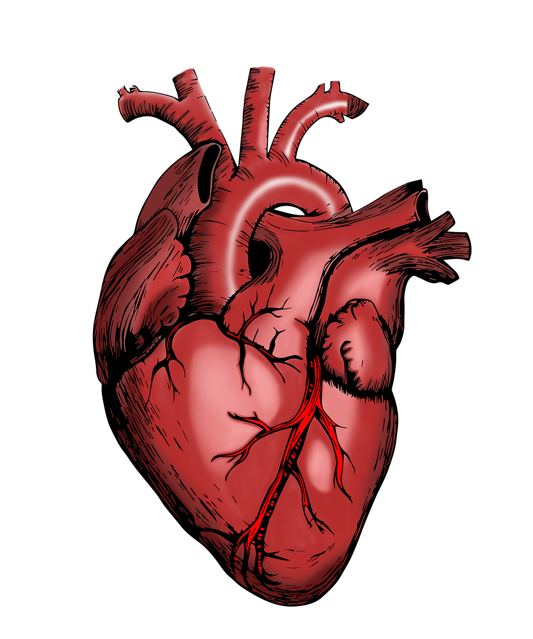 지역가입자 건강보험료 계산 방법
