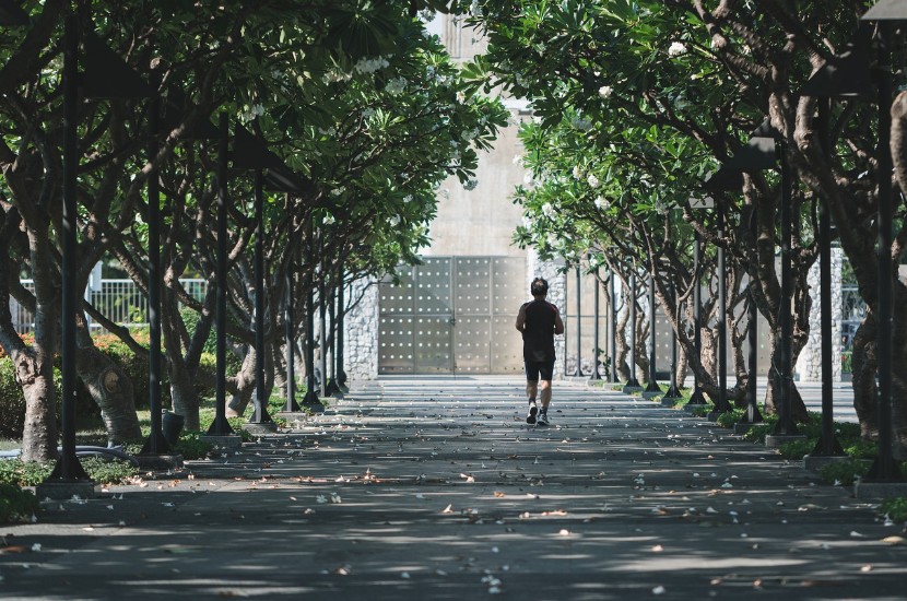 ๊ณต์ ์กฐ๊น
๊ด๋ จ ์ด๋ฏธ์ง