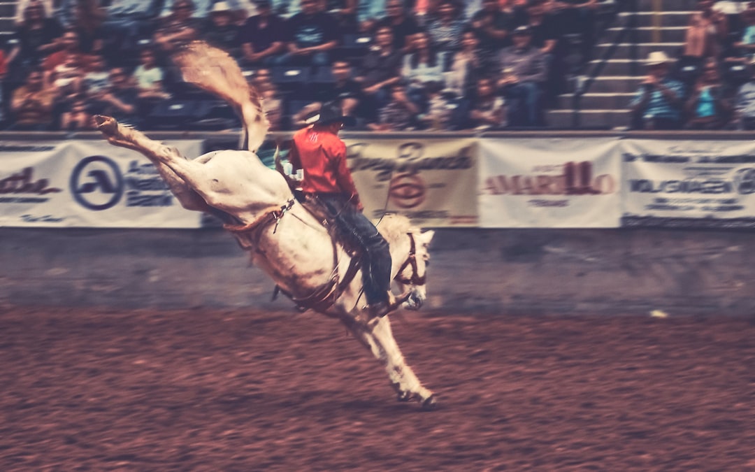 Bronco