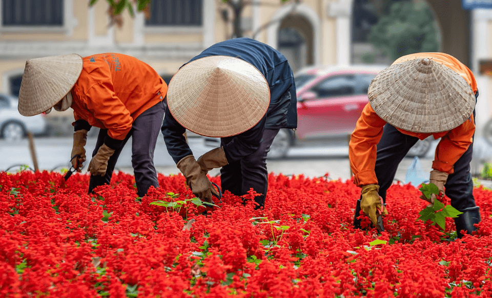 항공권 특가 놓치지 마세요! 인스턴트립·고고씽 추천