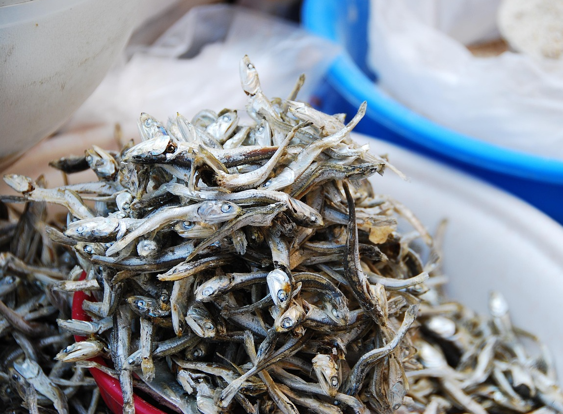 주부 필수 건어물 보관법 (멸치, 황태, 디포리)