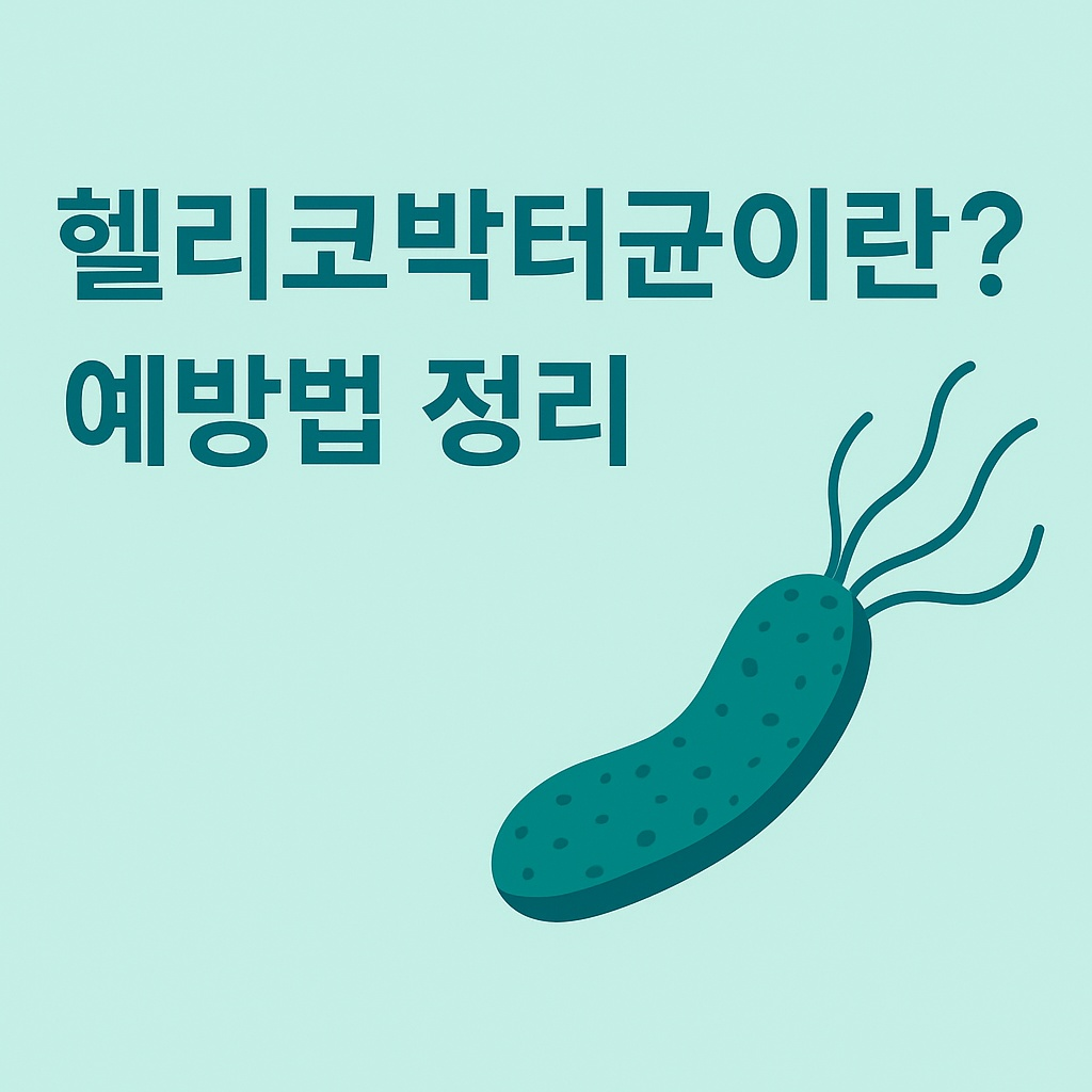 헬리코박터균 그림