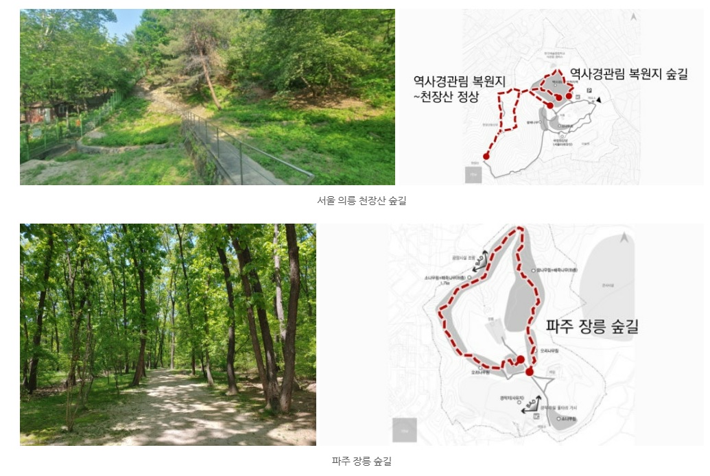 조선왕릉숲길