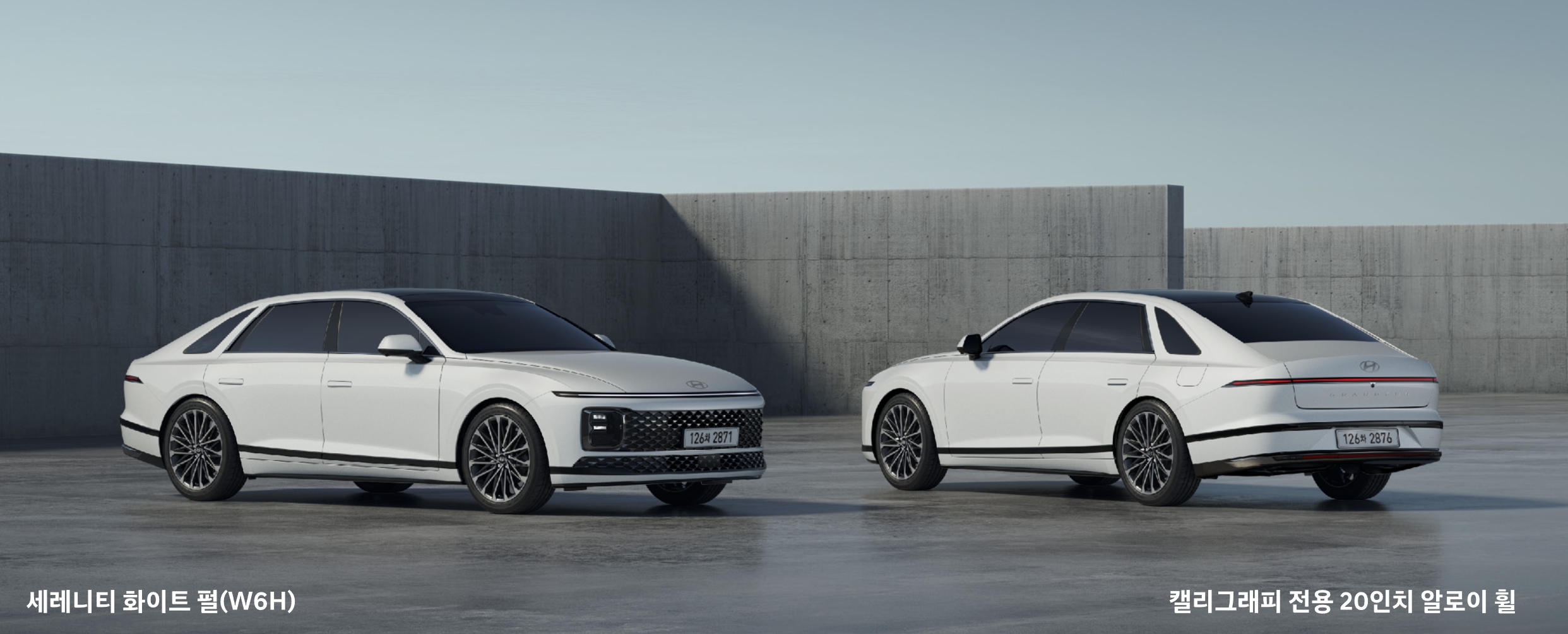 세레니티 화이트 펄(색상 코드 : W6H)